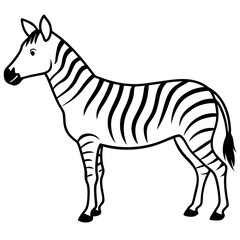 Zebra line art vector illustration 