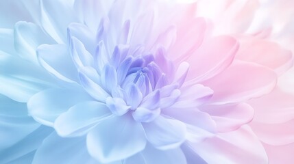Fototapeta premium A captivating soft pink gradient blooms at the heart of an enchanting floral arrangement background