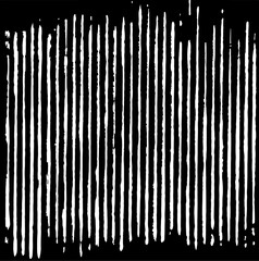 Slim lines texture. Parallel and intersecting lines abstract pattern. Abstract textured effect. Black isolated on white background.Vector illustration. EPS10.