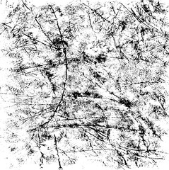 Scratched Grunge Urban Background Texture Vector. Dust Overlay Distress Grainy Grungy Effect. Distressed Backdrop Vector Illustration. Isolated Black on White Background. EPS 10.