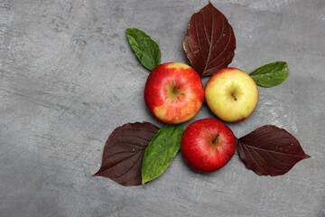 Red apples and autumn leaves on gray background. Top view, copy space
