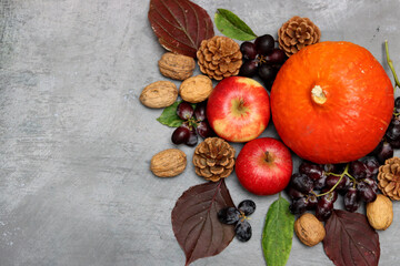 Autumn composition with pumpkins, apples and nuts on grey background