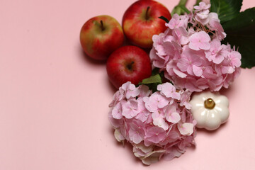 Pink hydrangea on a pink background. Close up photo of flower petals. 