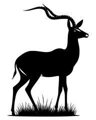 antelope in the Meadow