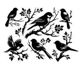Black silhouette of bird with wings and feathers vector set
