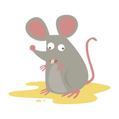 leptospirosis infection disease from leptospira bacteria in rat urine