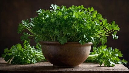 Fototapeta premium Close-up of parsley on a wooden table