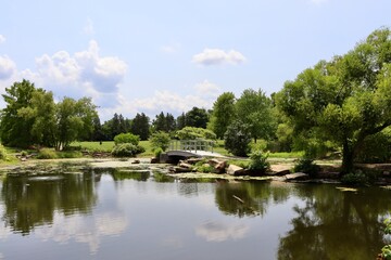 The wood bridge at the park on a sunny day.
