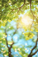 Obraz premium A tree with leaves and a bright blue sky. The leaves are green and the sky is clear