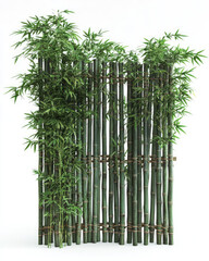 Fototapeta premium Lush bamboo plants create a serene backdrop, perfect for enhancing tranquility in gardens and interiors.