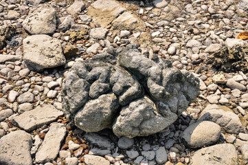 Ocean shore on Phuket island