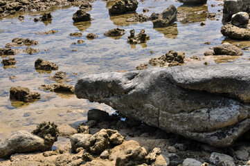 Ocean shore on Phuket island