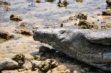 Ocean shore on Phuket island
