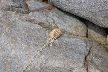 Ocean shore on Phuket island