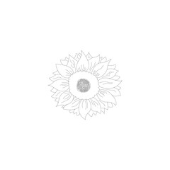 Hand-drawn-sunflower-on-isolated-white-background.Vector-illustration