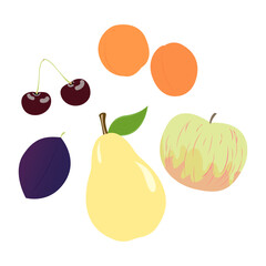 Drawings-of-summer-fruits-on-an-isolated-white-background.Vector-illustration.