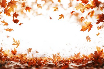 Fallen Leaves Season Background