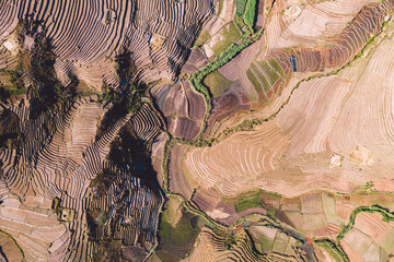 Madagascar - aerial view of agricultural fields