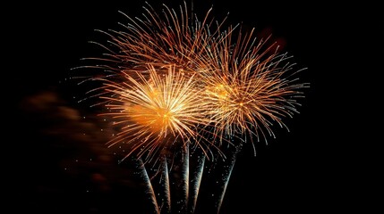 Golden fireworks explode against a black sky.