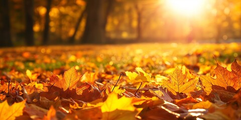 Bright golden autumn leaves cover the ground under a soft sunset glow, creating a serene and warm atmosphere.