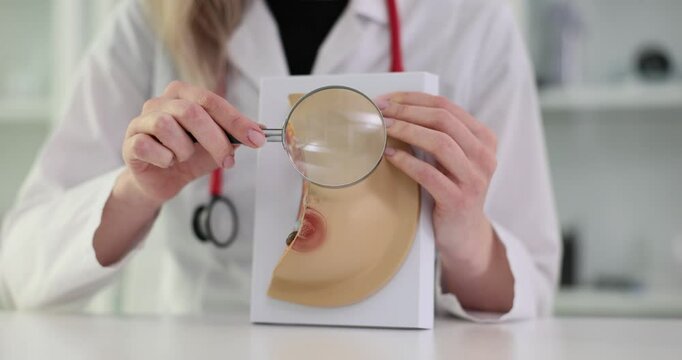 Doctor examines breast model using magnifying glass