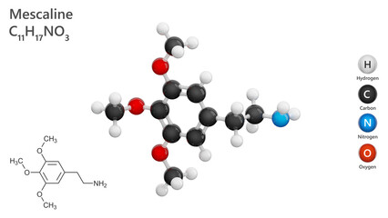 Molecule of Mescaline (C11H17NO3) is a naturally occurring psychedelic alkaloid found in the peyote cactus. It acts on serotonin receptors, influencing perception and mood. White back. 3d illustration