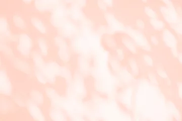 Fototapete Badezimmer Light and shadow pink beige pastel abstract blur background. Natural leaves shadows and sunshine diagonal refraction on white wall texture. Shadow overlay effect foliage mockup banner graphic layout  © merrymuuu