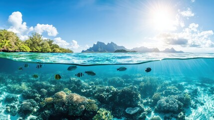 Vibrant Coral Reef Under Clear Blue Ocean Water
