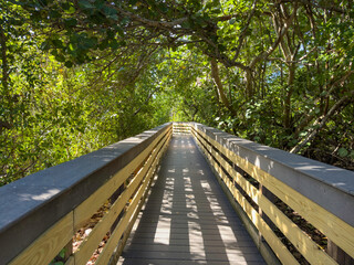 Perspective of a boardwalk with handrails, shaded by sea grape (binomial name: Coccoloba uvifera) and other dense greenery, that leads to a public beach along the Gulf Coast of southwest Florida
