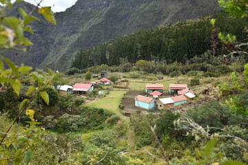 petit village réunionnais