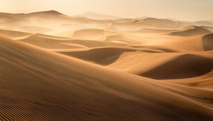 Fototapeta premium Sandy desert dunes at sunrise