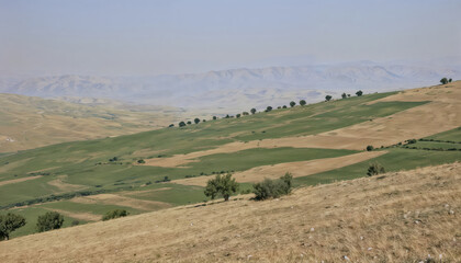 Fototapeta premium Peaceful Rural Landscape With Rolling Hills and Trees