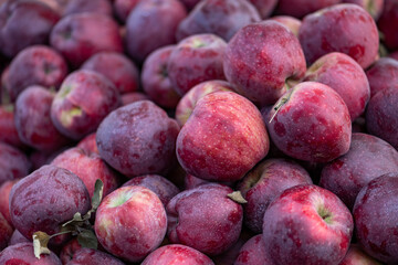 red apples displayed on a farmer's market counter