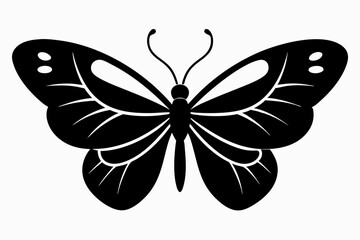 Butterfly silhouette, Butterfly stencil vector illustration