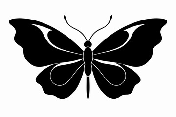 Butterfly silhouette, Butterfly stencil vector illustration