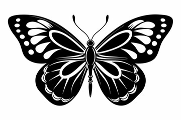 Butterfly silhouette, Butterfly stencil vector, Butterfly silhouette icon