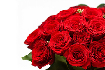 Bouquet of red roses background