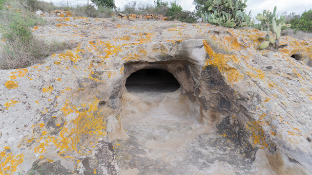 Domus de janas of sas Concas pre-nuragic and nuragic necropolis of Oniferi, Sardinia
