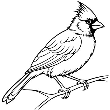 recommend clip art: Cardinal bird on branch Vector, silhouette, line art, bird on a branch Isolated on white background