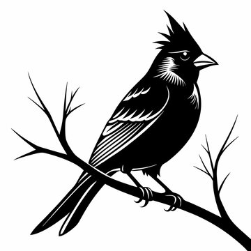 recommend clip art: Cardinal bird on branch Vector, silhouette, line art, bird on a branch Isolated on white background
