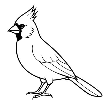 recommend clip art: Cardinal bird on branch Vector, silhouette, line art, bird on a branch Isolated on white background