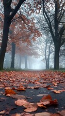 A foggy park pathway covered with orange autumn leaves and surrounded by trees, evoking a serene and mysterious atmosphere in the cool fall season.