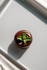 Delicious chocolate dessert with mint leaves.