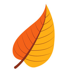 Autumn Leaves Illustration
