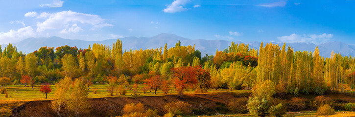Fototapeta premium Autumn nature, panoramic view of colorful trees against blue sky. Beautiful autumn landscape with colorful red and yellow leaves of trees. Long banner in high resolution.