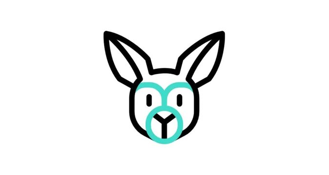 rabbit isolated