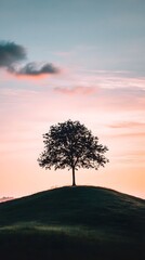Obraz premium A lone tree on the horizon against an orange and blue sky at sunset, standing tall in green grassy hills with distant mountains.