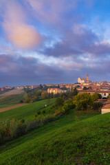 Naklejka premium Typical vineyard near Grana Monferrato, Piedmont, Italy