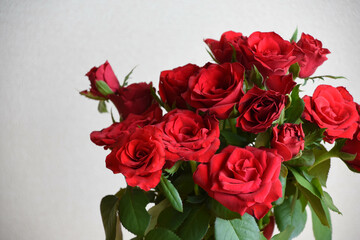 赤い薔薇