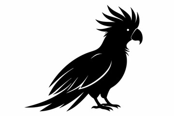 Cockatoo black silhouette vector, parrot silhouette, Cockatoo bird